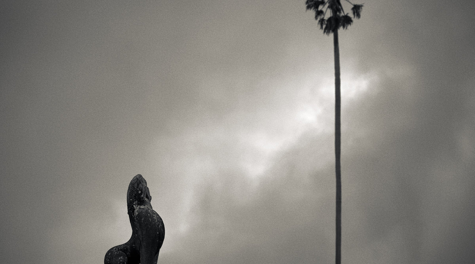 The Edge Before Rain