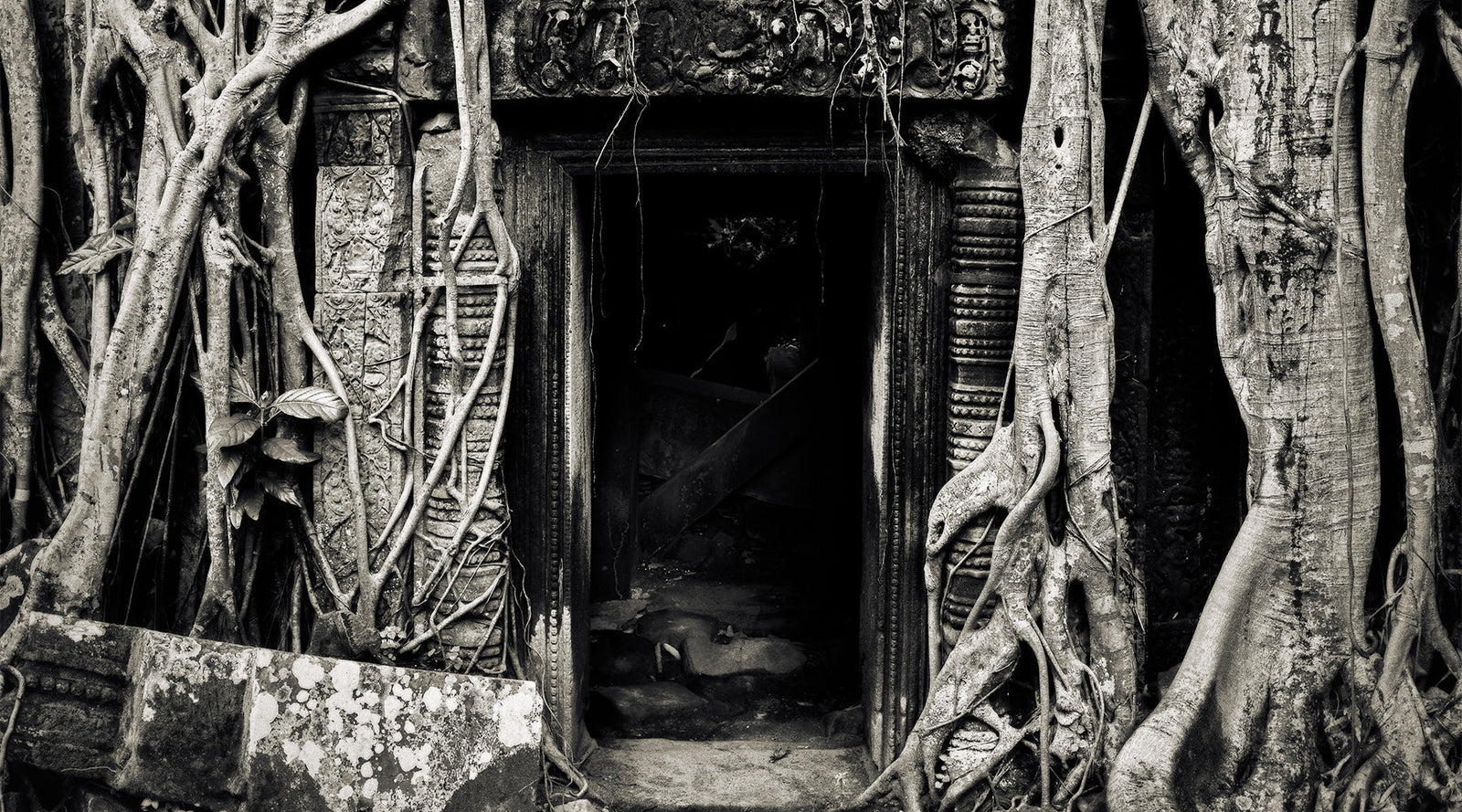 Before the Door That Breathes