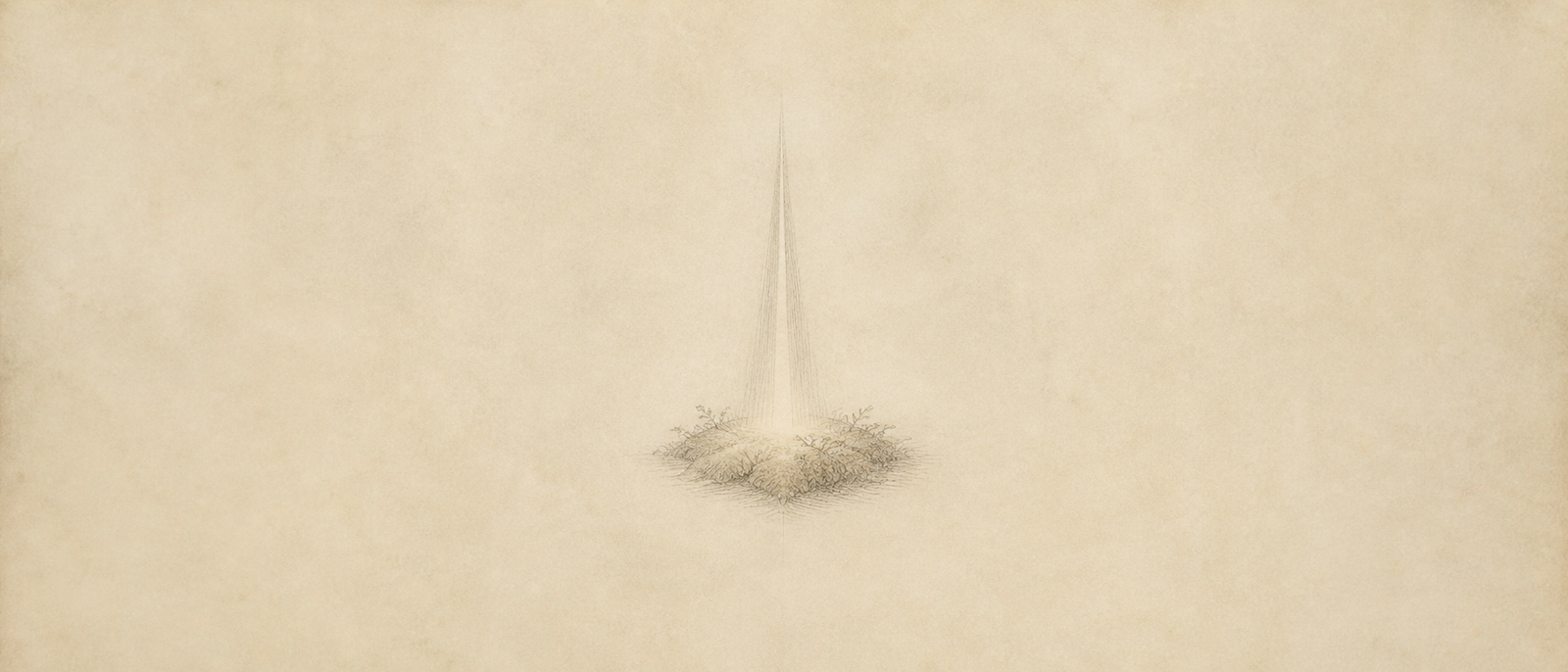 The Place Where Light Arrives