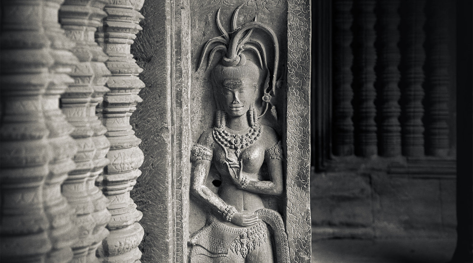 A Lotus Held in the Breath of Stone