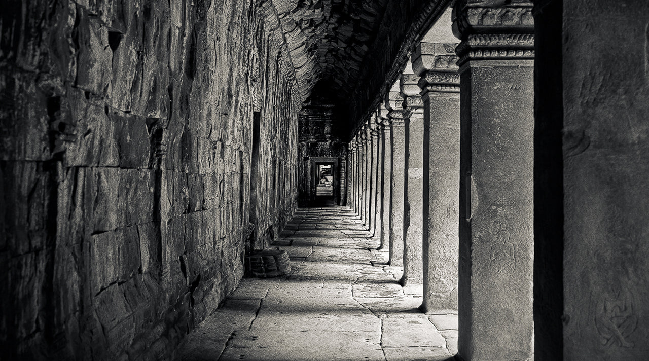 Stone and Shadow, Ta Prohm Temple, Angkor