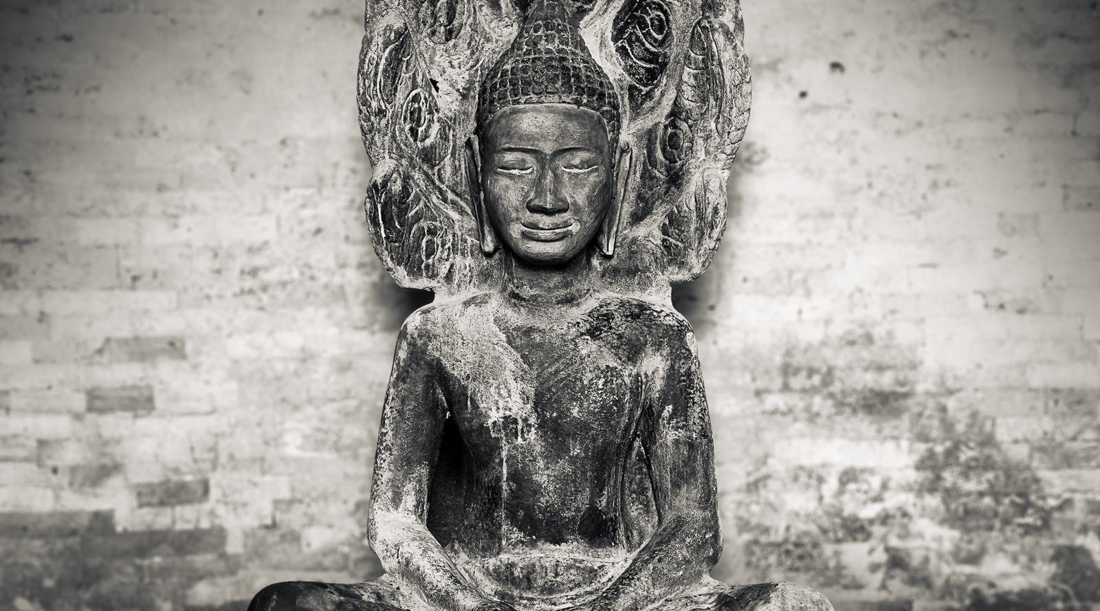 Stillness in the Shape of Shelter