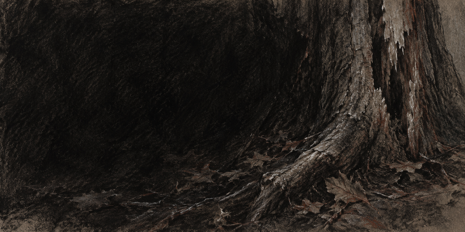 What the Dark Remembers
