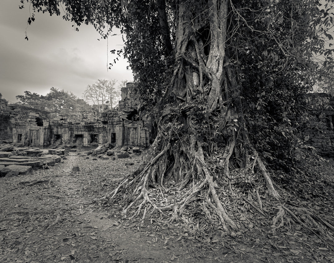 A Temple Walk, Preah Khan Temple, Angkor, Cambodia. 2021