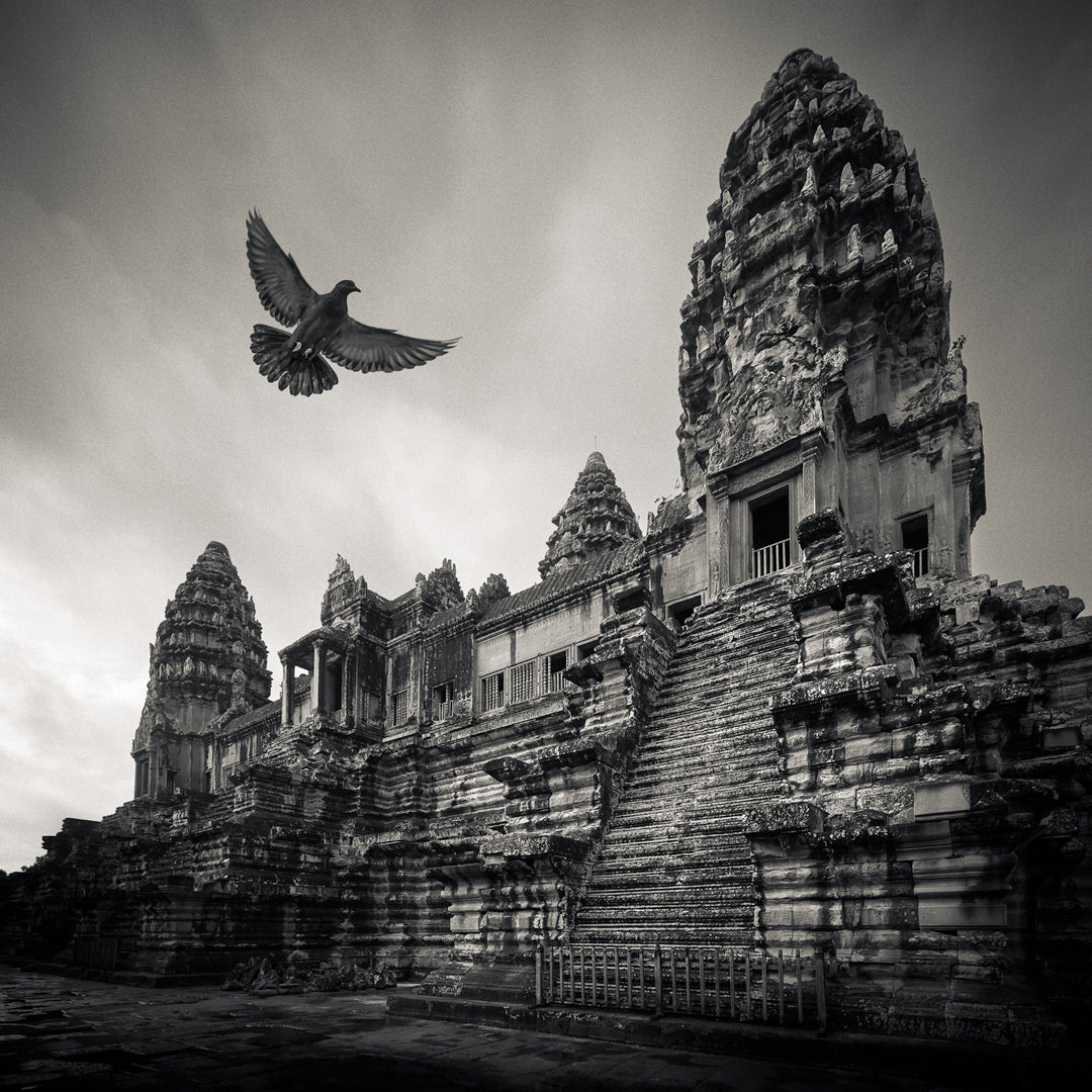 Flying Bird Over Angkor Wat Temple, Cambodia. 2024 by Lucas Varro