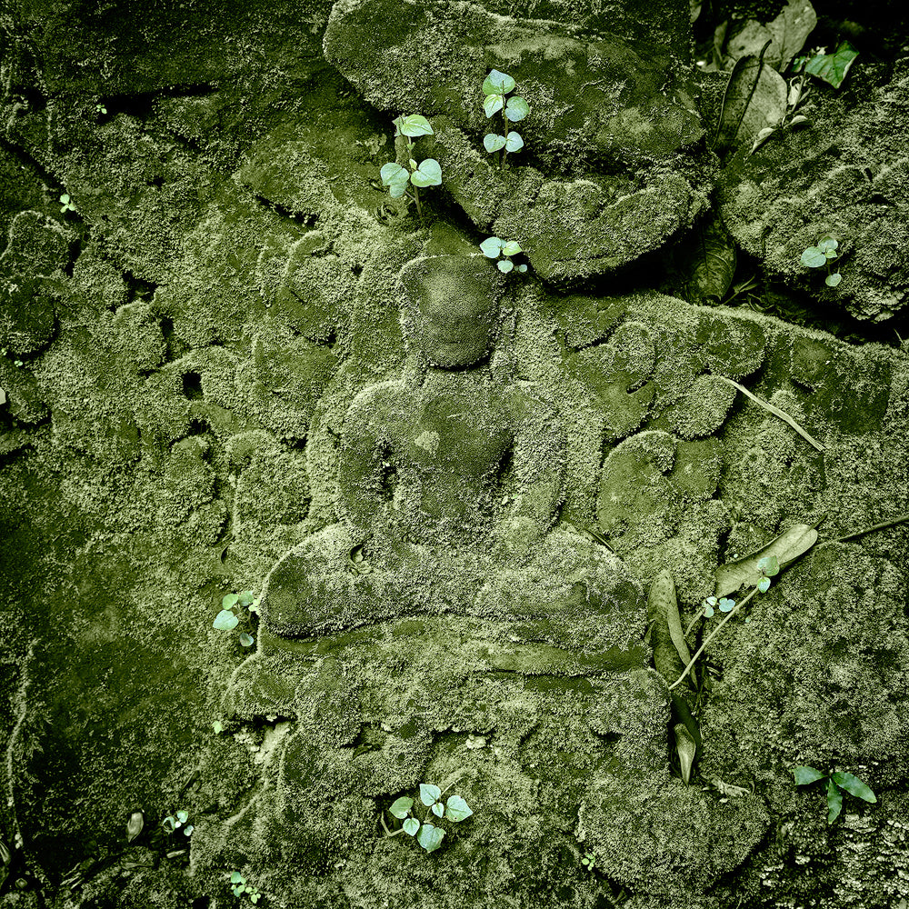 Mossy Buddha, Study II, Preah Khan Temple, Angkor, Cambodia. 2020