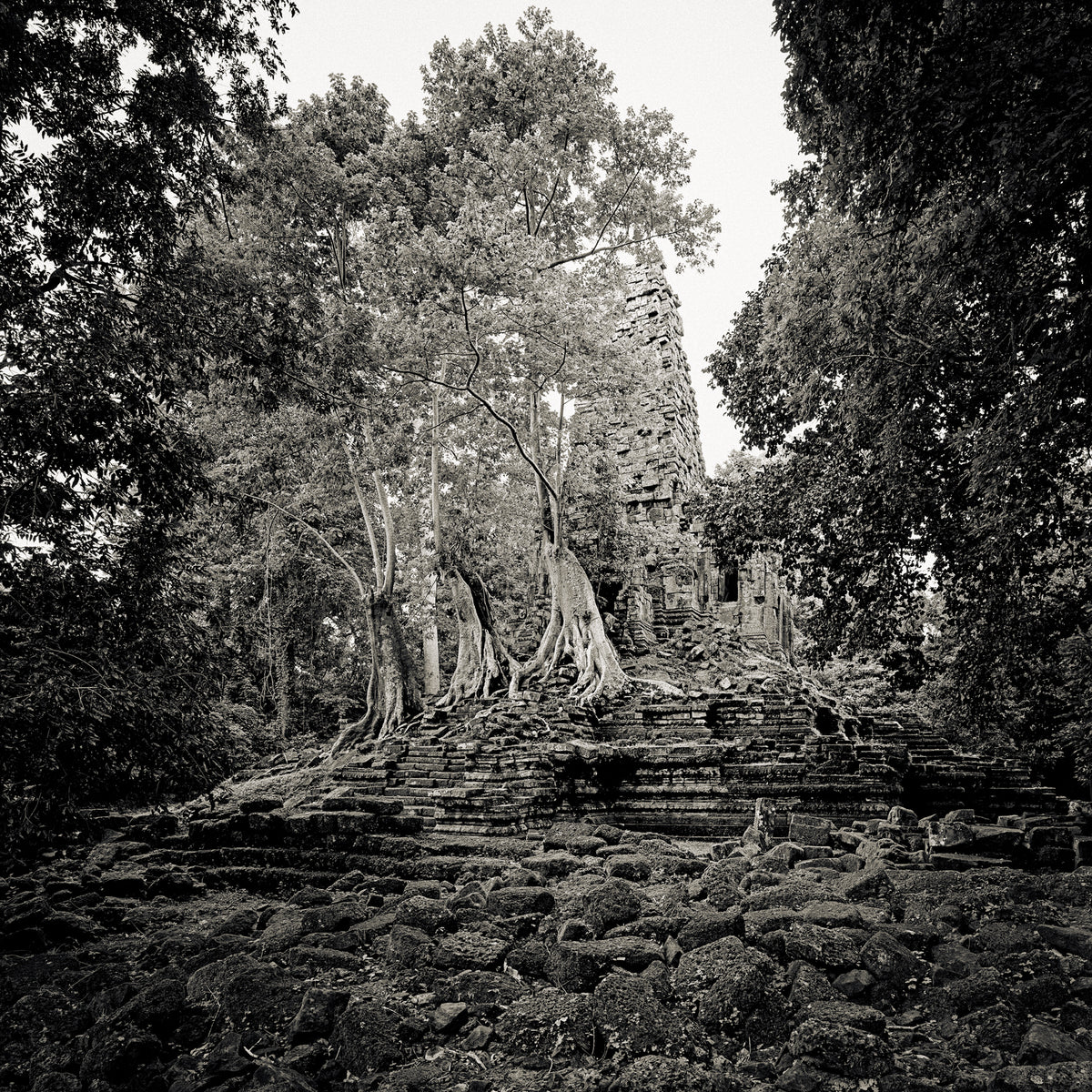 Preah Palilay Temple, Study I, Angkor Thom, Cambodia. 2020 by Lucas Varro