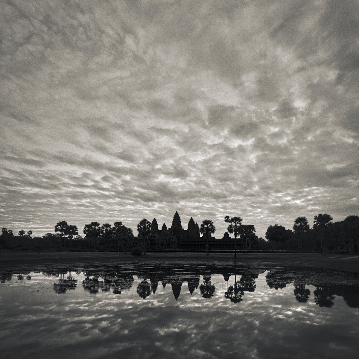 Dawn Reflection, Angkor Wat Temple, Cambodia. 2020