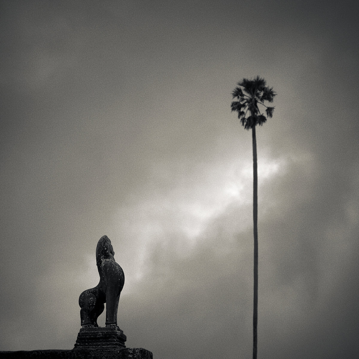 Guardian, Angkor Wat Temple, Cambodia. 2020