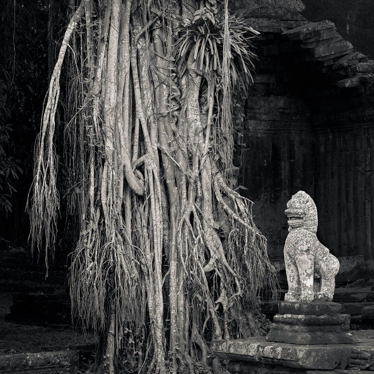Guardian, Preah Khan Temple, Angkor, Cambodia. 2020
