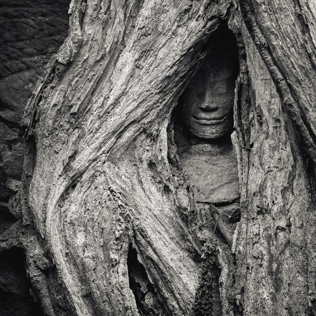Hidden Devata, Ta Prohm, Angkor, Cambodia. 2020 by Lucas Varro