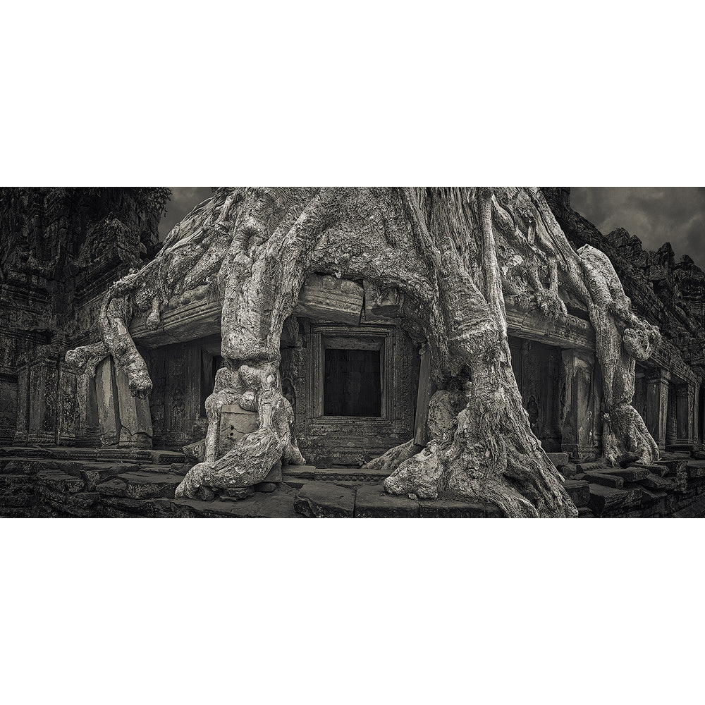 Spung Tree I, Preah Khan Temple, Angkor, Cambodia. 2020 by Lucas Varro
