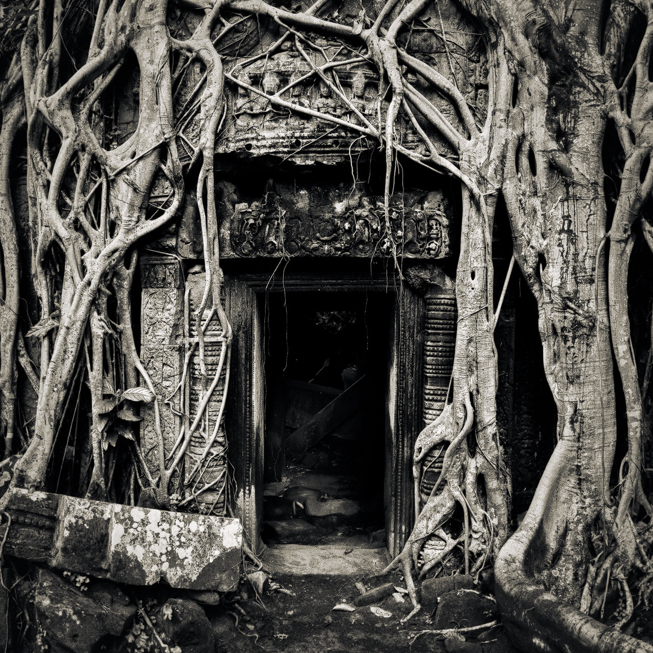 Strangled Doorway, Ta Prohm Temple, Angkor, Cambodia. 2020