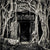 Strangled Doorway, Ta Prohm Temple, Angkor, Cambodia. 2020