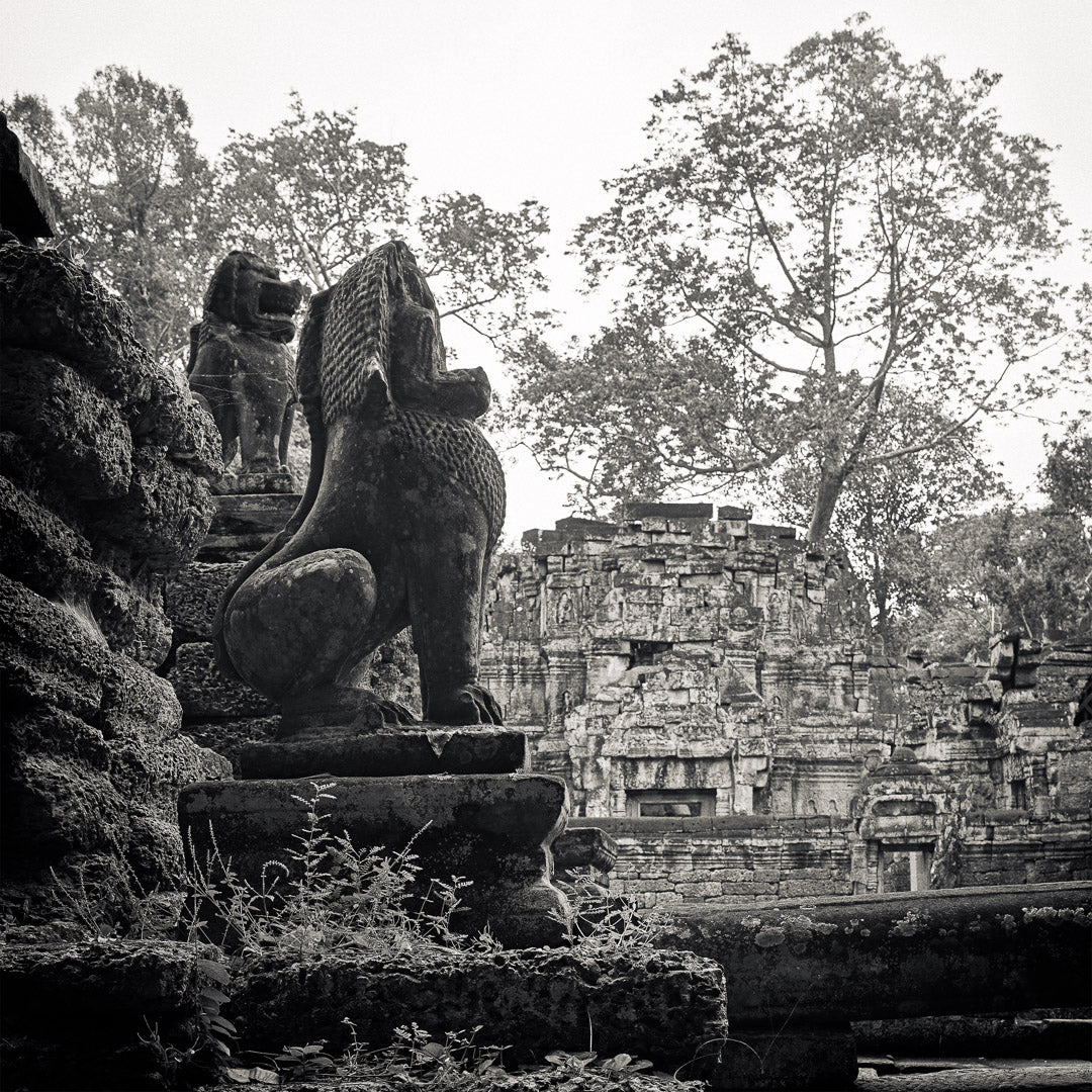 Temple Lions, Preah Khan Temple, Angkor, Cambodia. 2020 by Lucas Varro