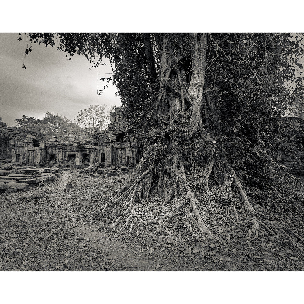 A Temple Walk, Preah Khan, Angkor, Cambodia-by Lucas Varro